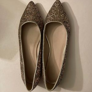 Sparkling 6 1/2 pointed toe shoes